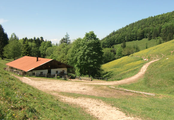 Herrenalm